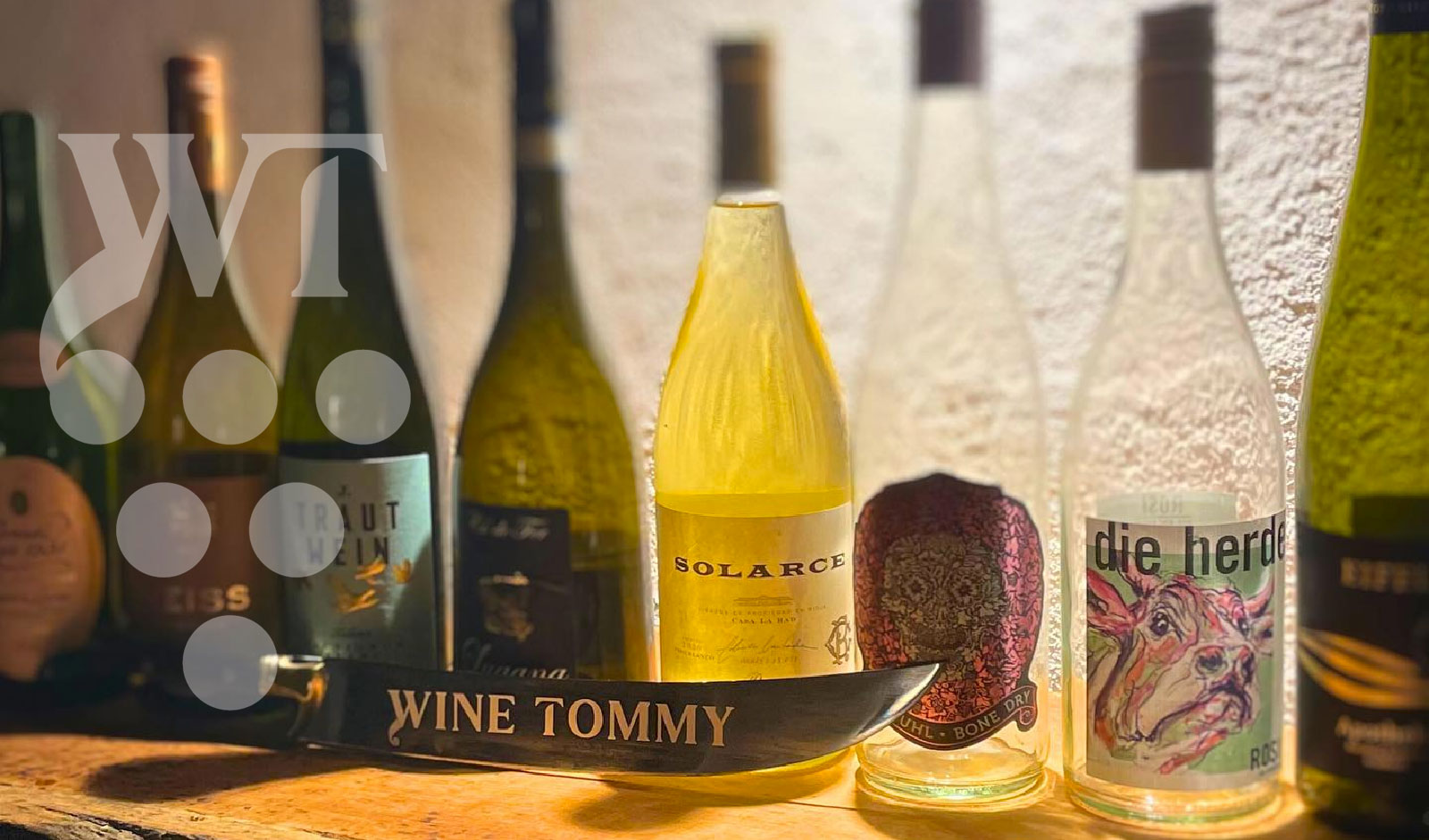 Read more about the article Weintasting mit wine_tommy